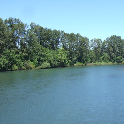 월래밋 강(Willamette River), 두번째